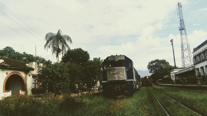Train