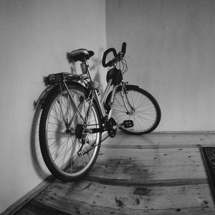 Velosiped (city bicycle)