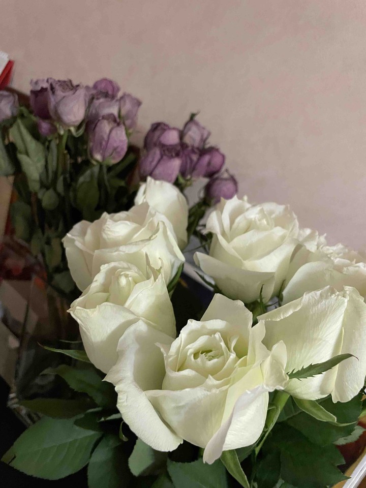 roses