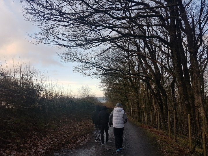 winter walk