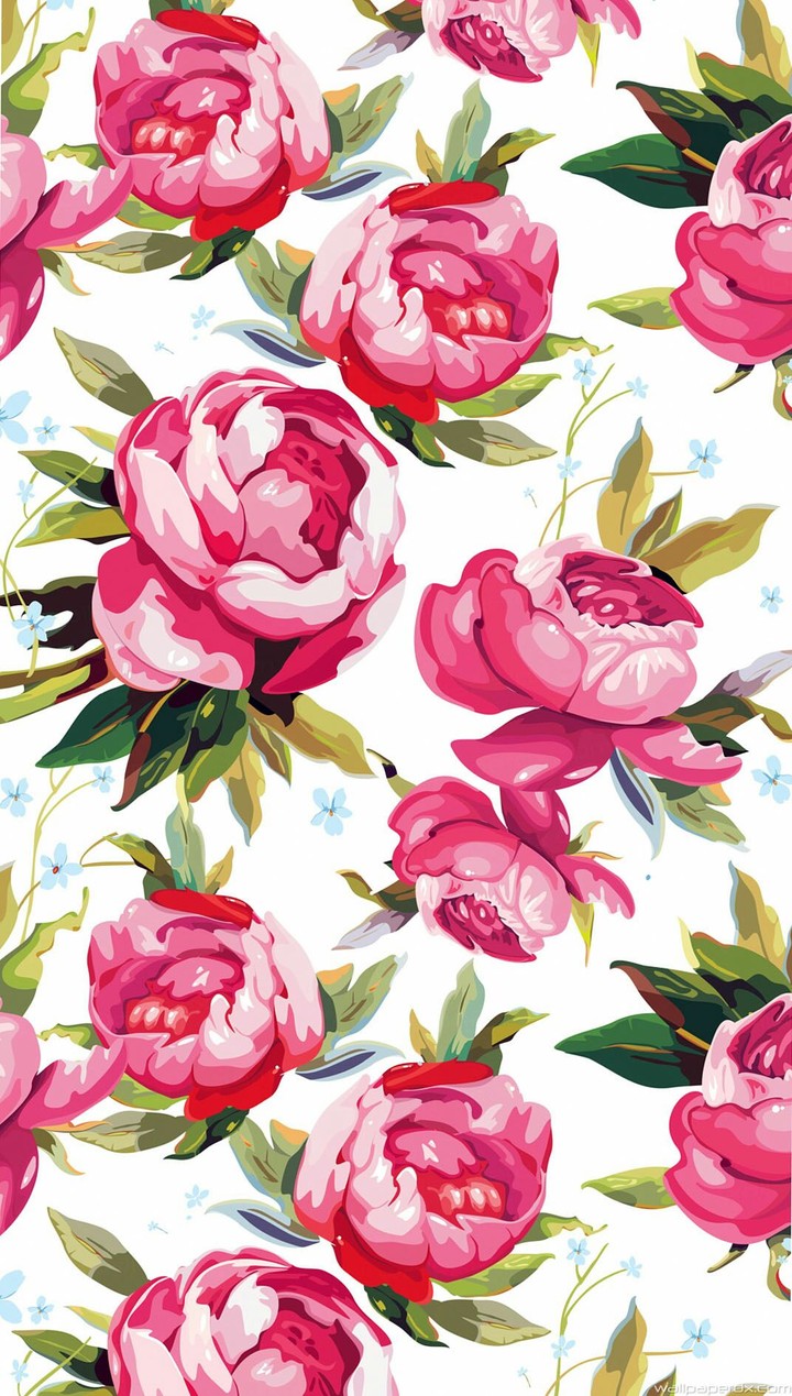 flowers