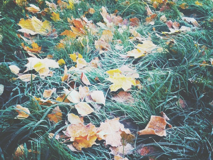 Autumn
