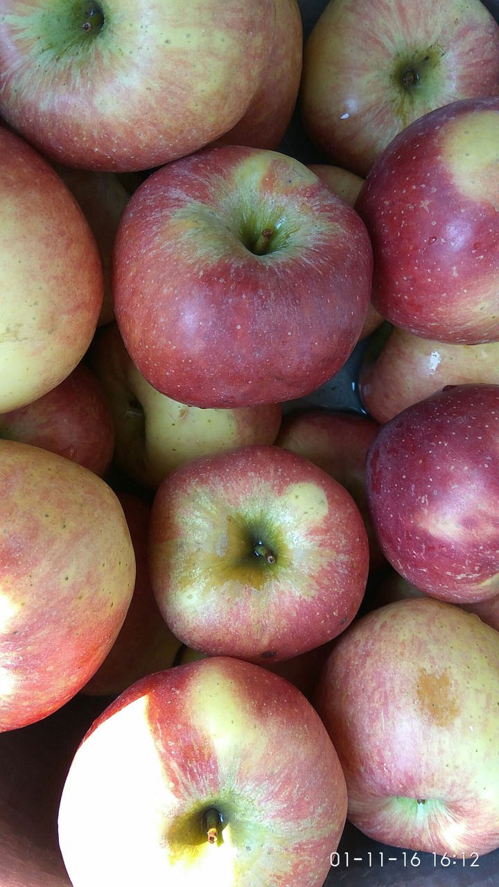 Fresh Apples