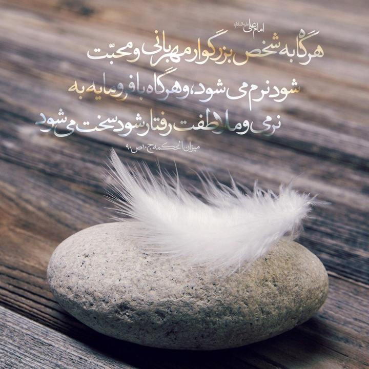 FEEL OF KIND