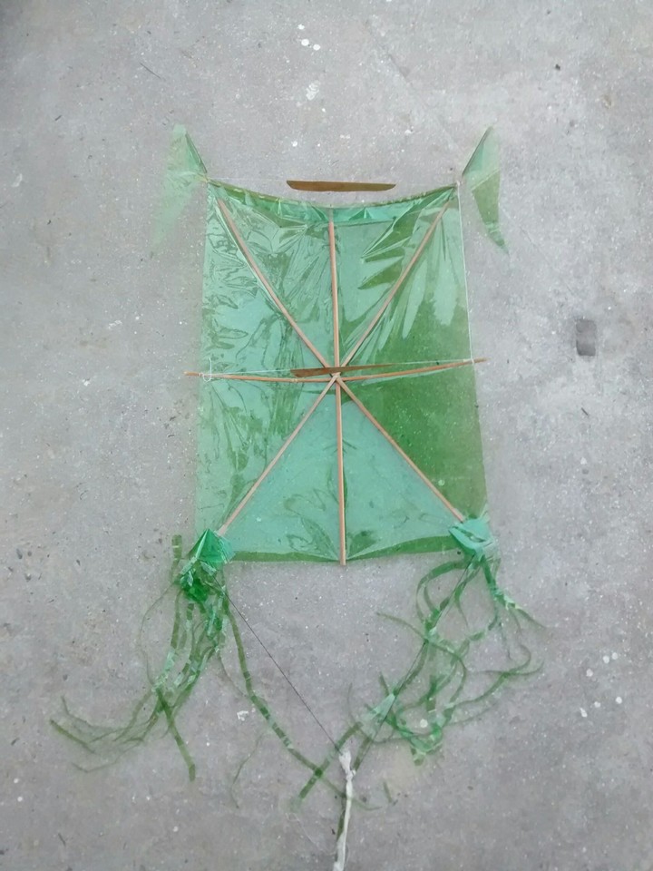 the kite