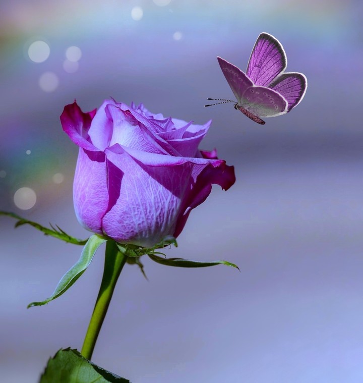 for you ❤️