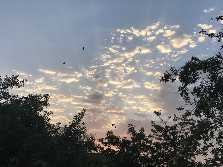 Clouds