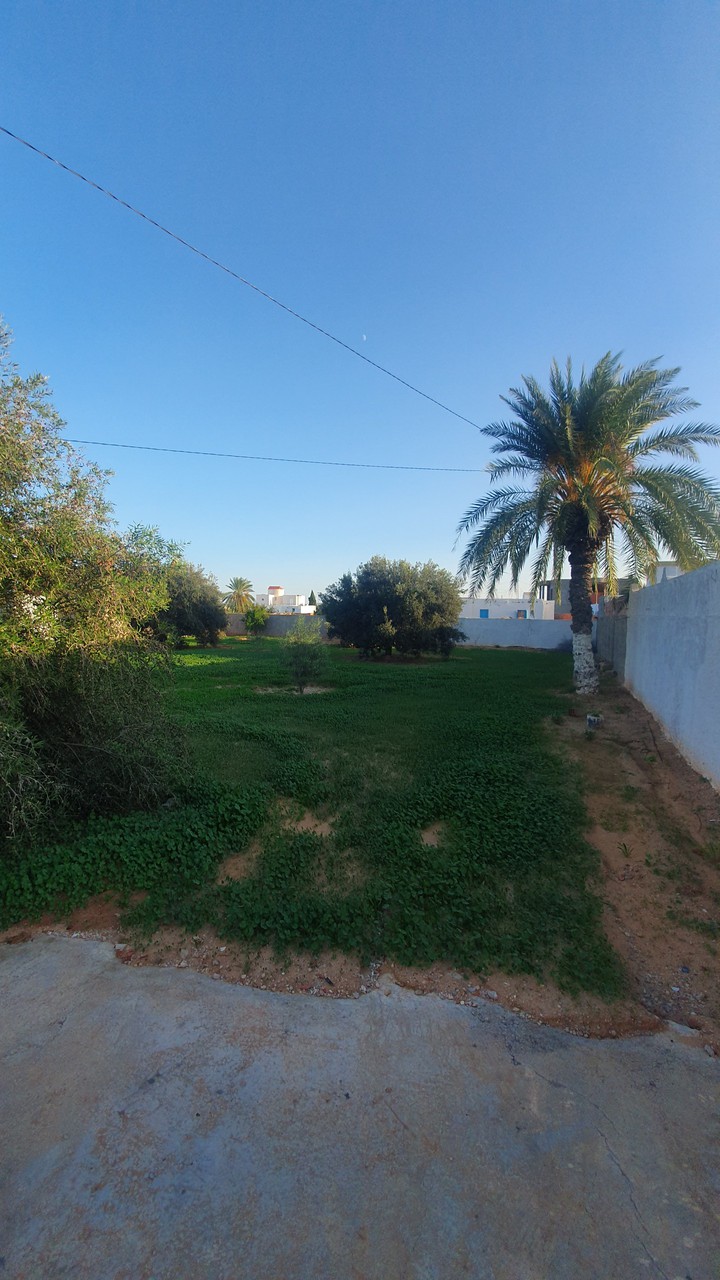 Tunisie