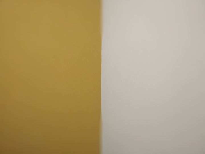 potraits