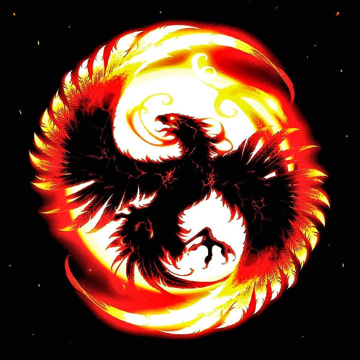 phoenix