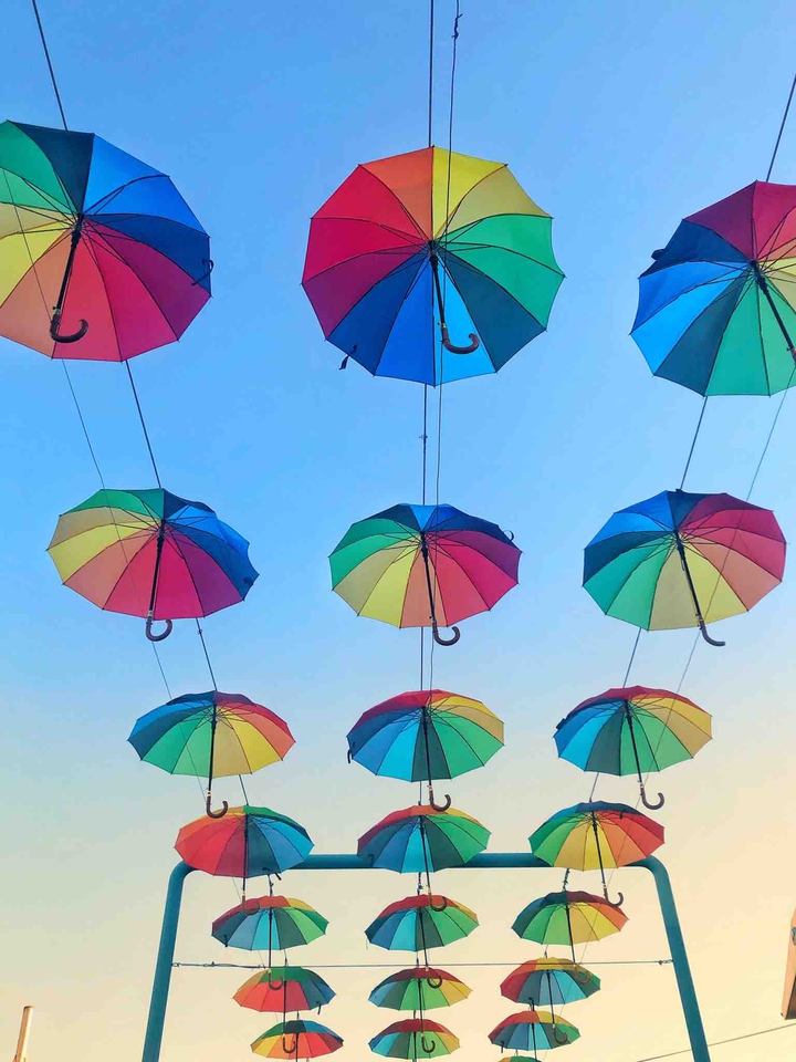 Umbrella