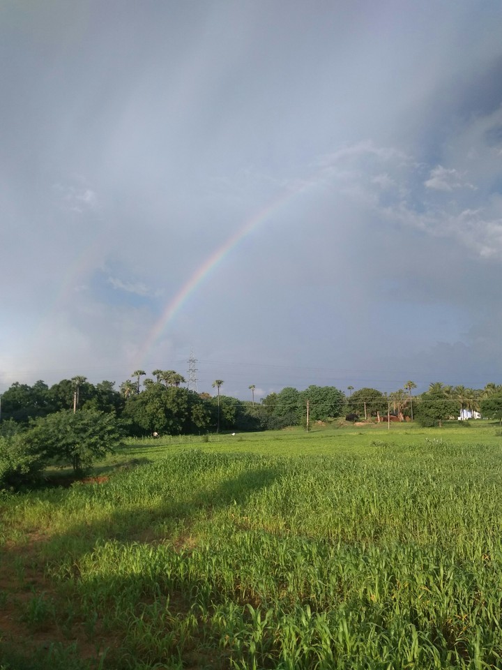 rainbow