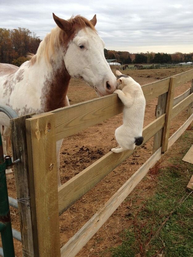 ❤
