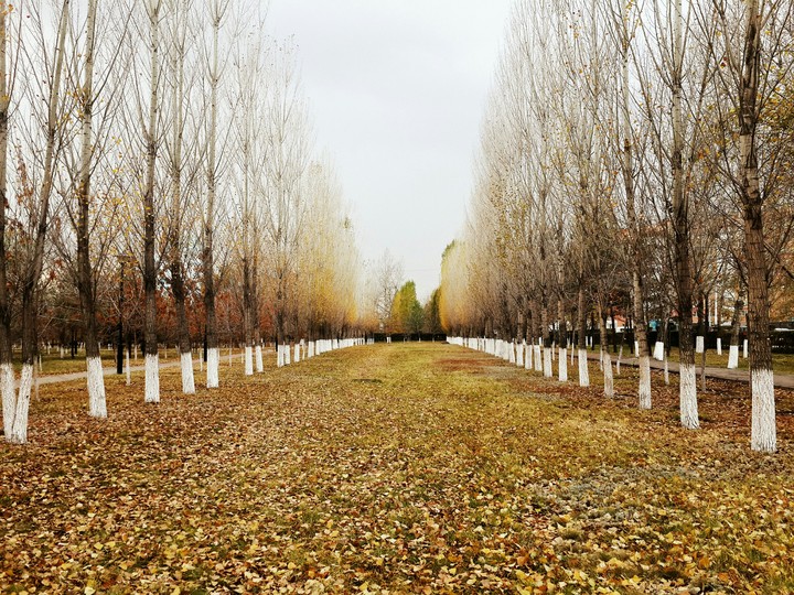 autumn