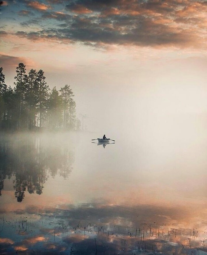 nature