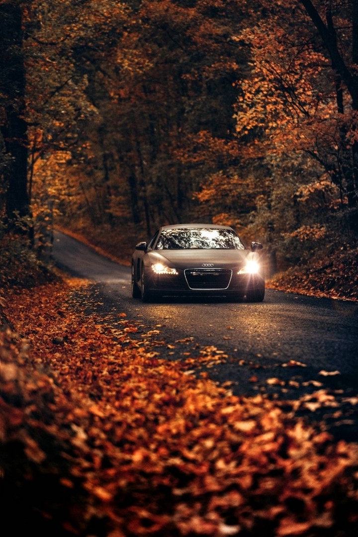 bearifull car in night