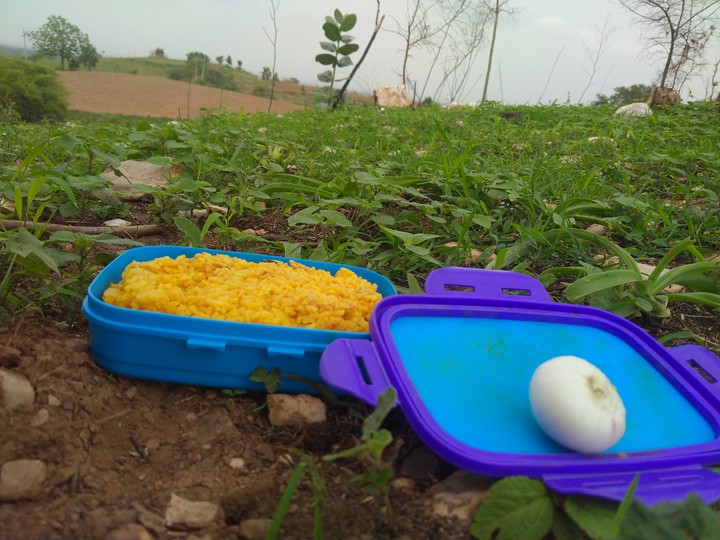 Lunch Time