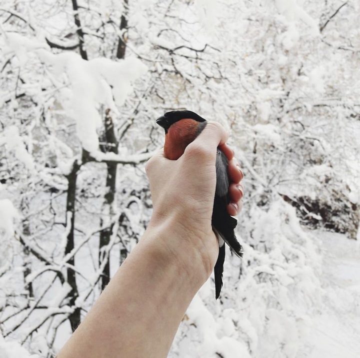 winter