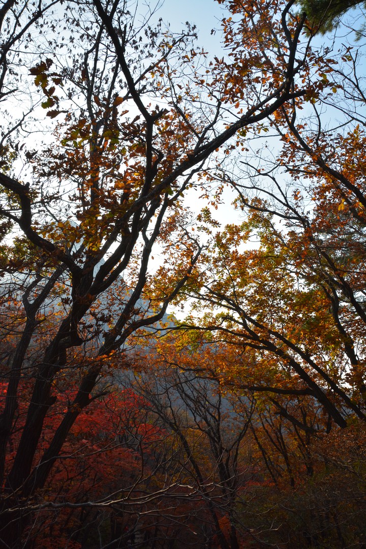풍경이미지