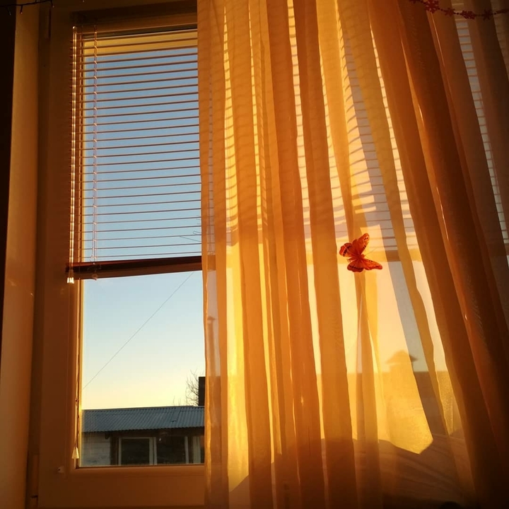 daylight