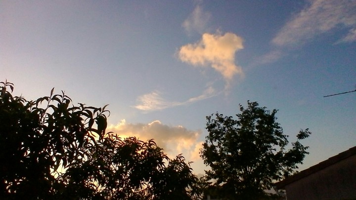 ciel