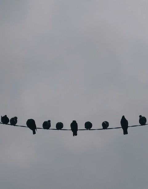 hanging out