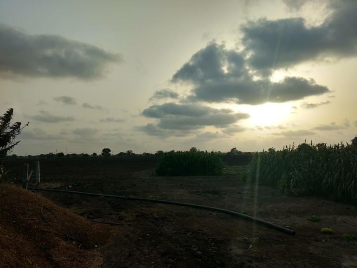 farm