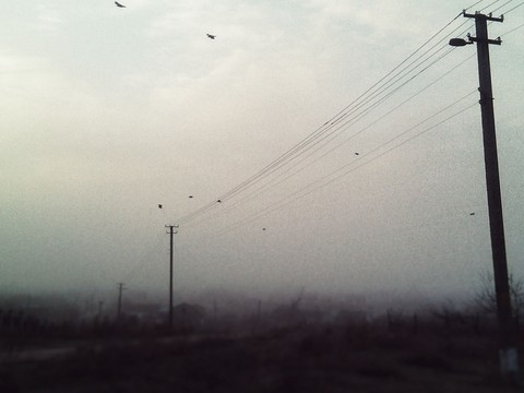 Cold