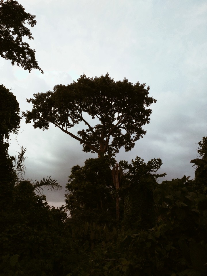interland