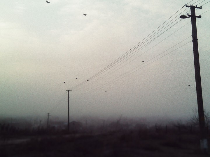 Cold