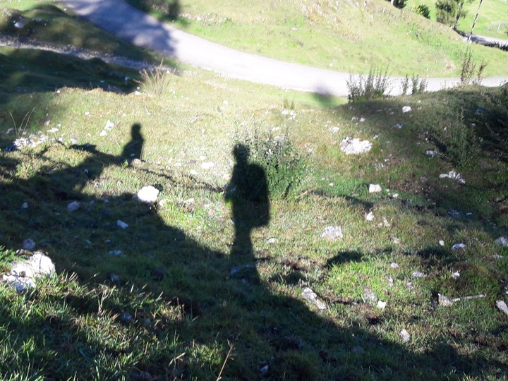 shadows