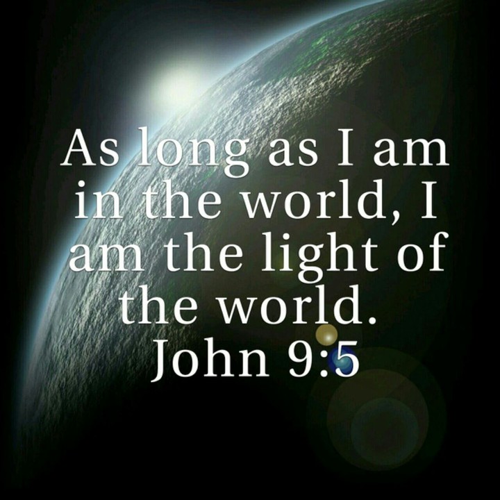 The Light & Life
