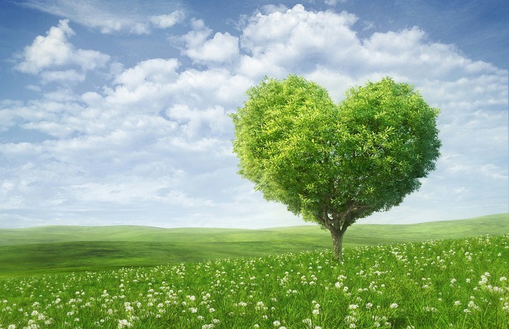 Heart tree
