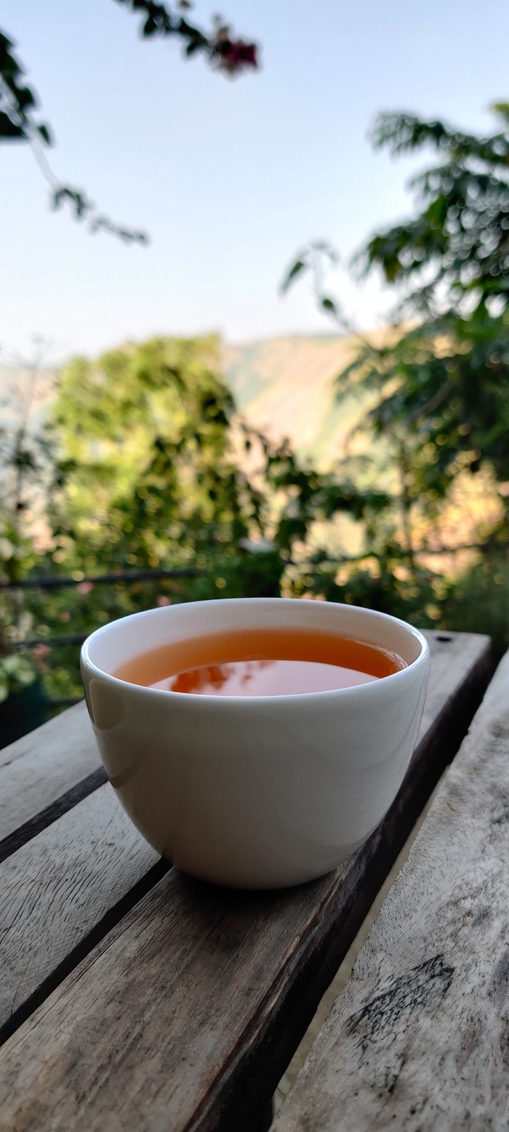 Tea