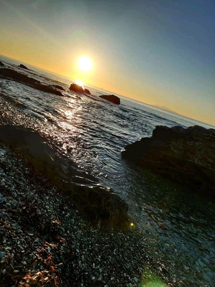 Sunshine
