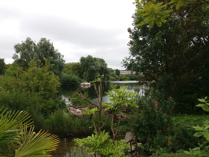 nature in the netherlands