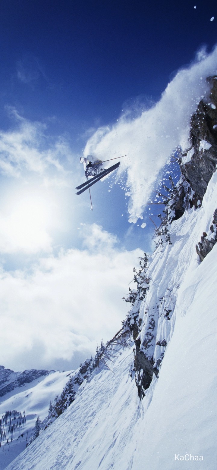 Ice sports