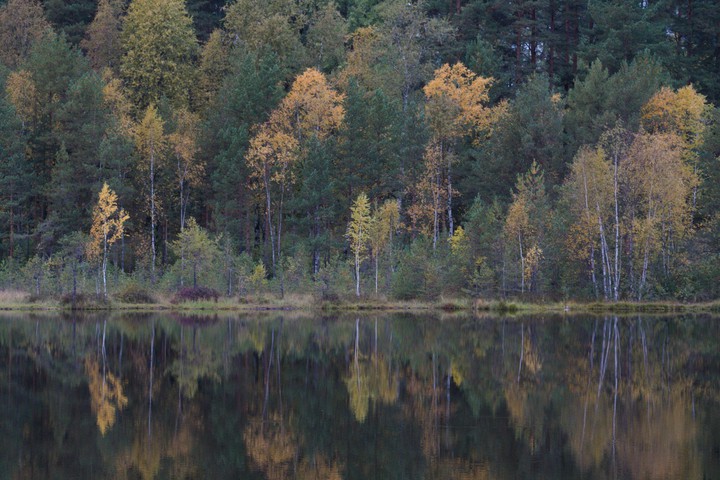 Поход ЛО