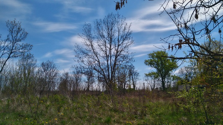sky