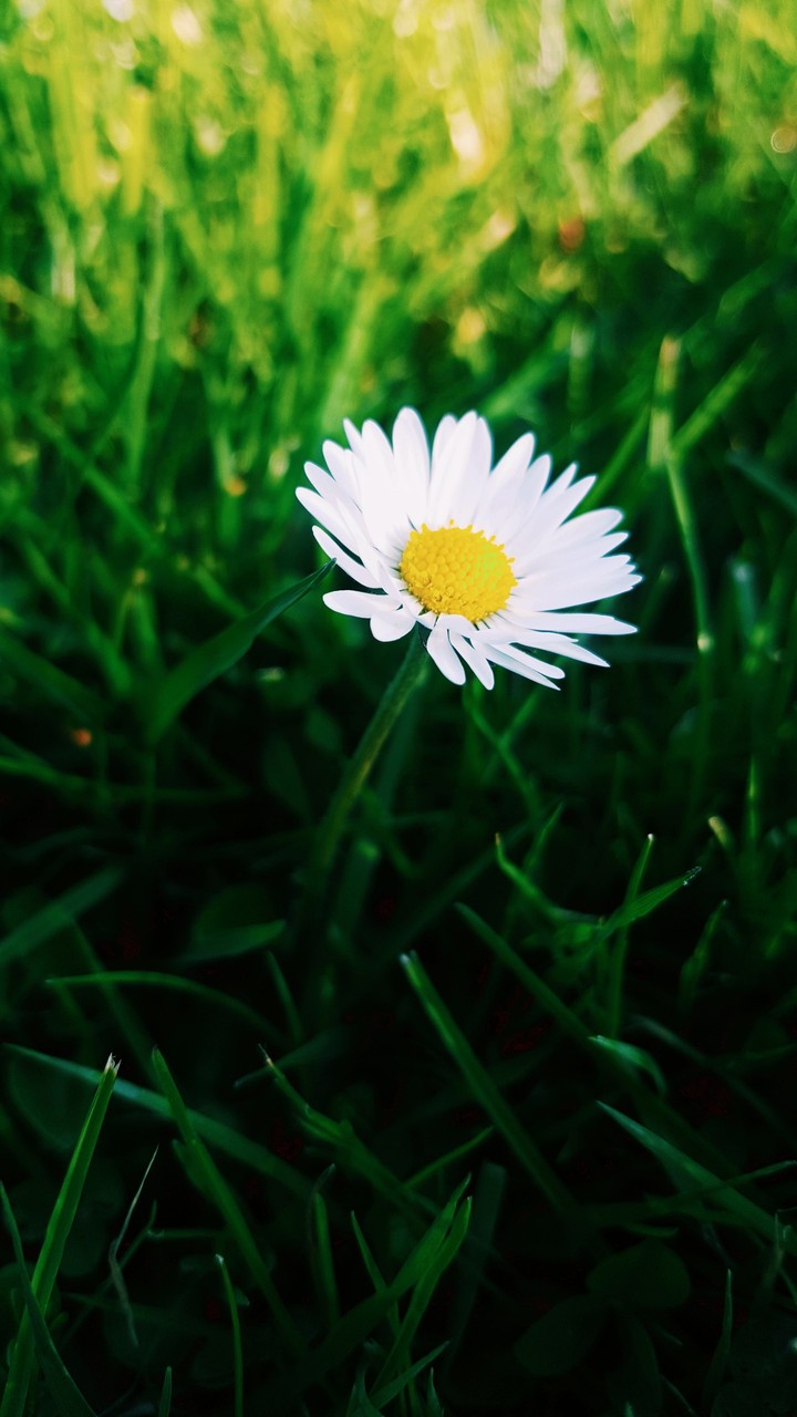 Beautiful