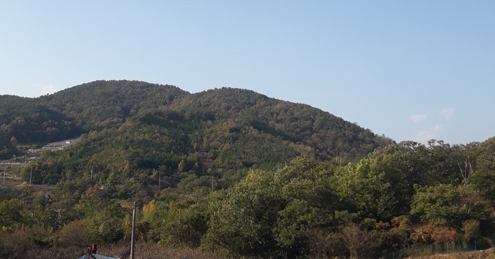 산