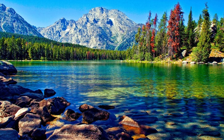 Lake