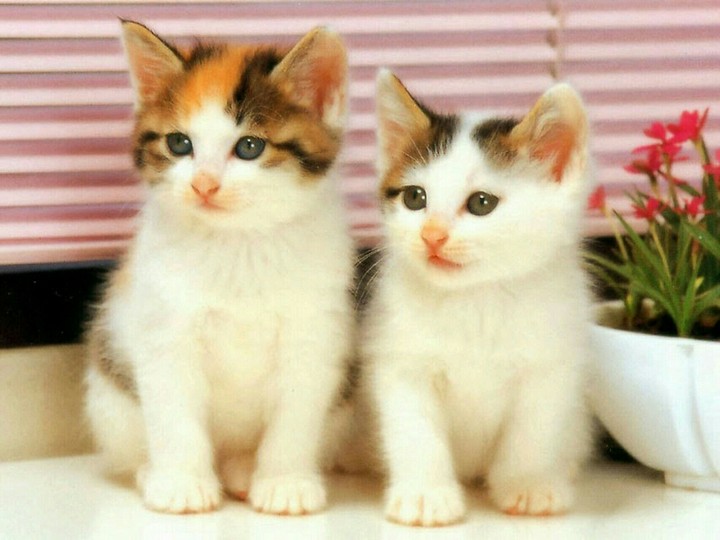 me and dalya❤❤