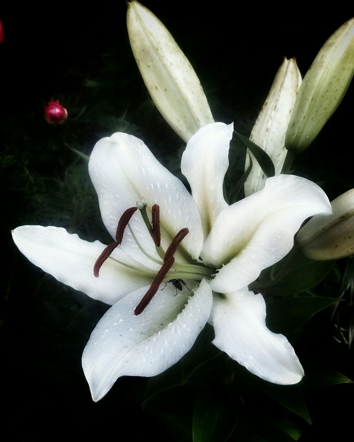 so beautiful