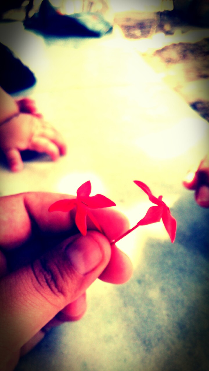 flores