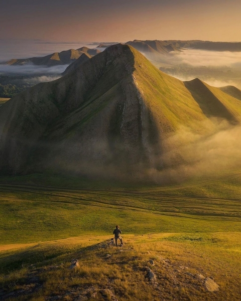 природа, highland wallpapers