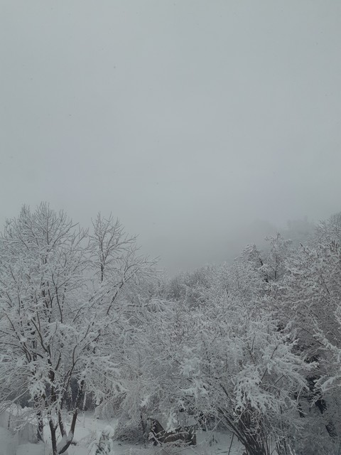 winter