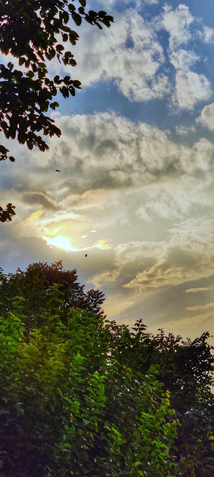 Clouds and sky