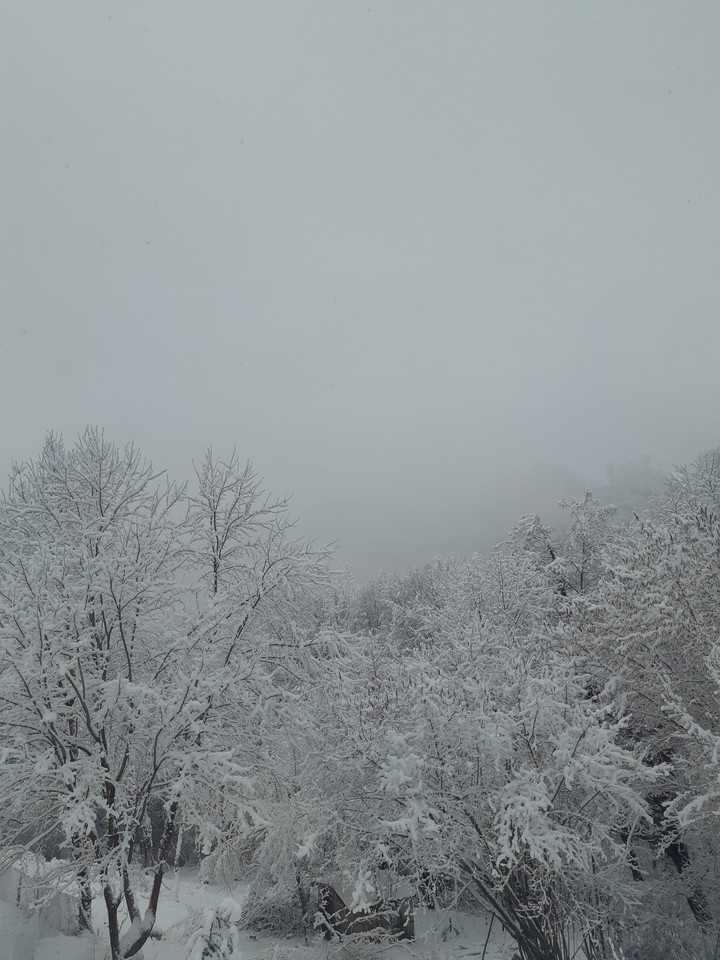 winter