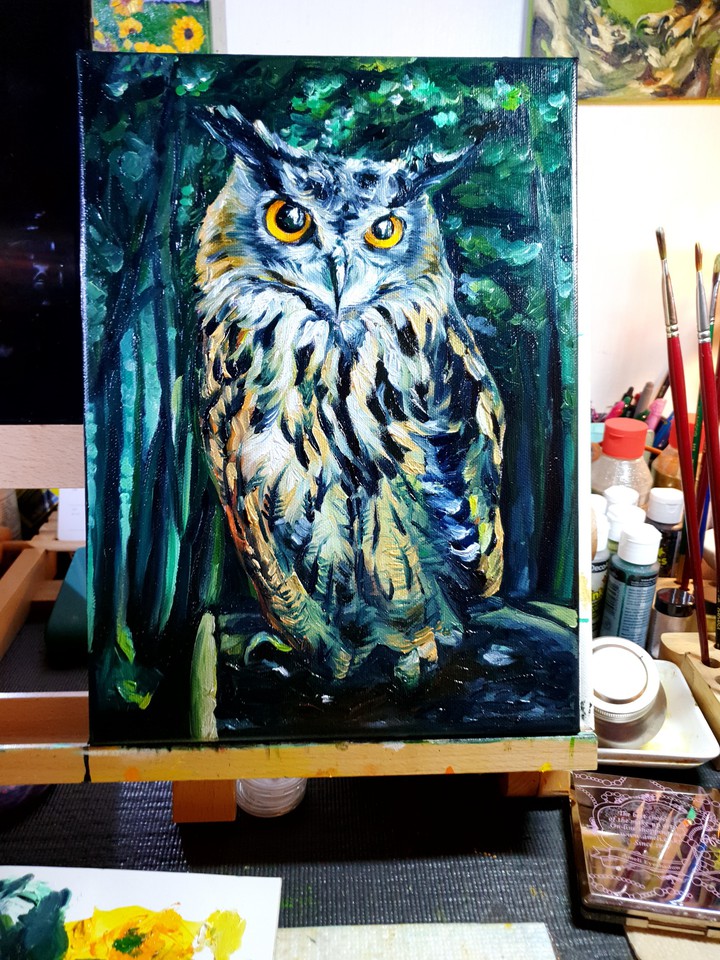 Owl
